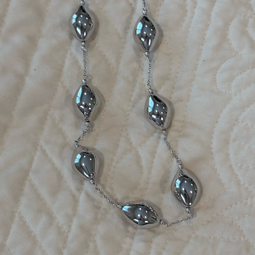 Lisa Robertson Elegant Silver Necklace